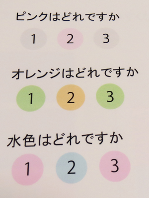 色覚検査器パネルD−１５テスト未使用